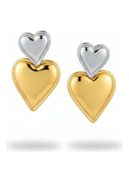 Çift Renk Ikili Kalp Çelik Küpe