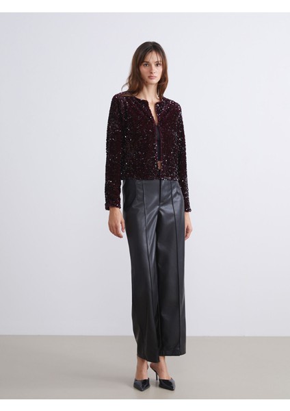 Yeni Sezon Bisiklet Yaka Pul Payetli Kadın Ceket fiyatları