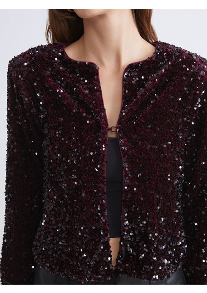 Yeni Sezon Bisiklet Yaka Pul Payetli Kadın Ceket modelleri