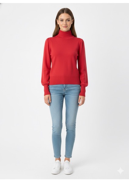 Kadın Yarım Balıkçı Triko Kazak 5688 fırsatları