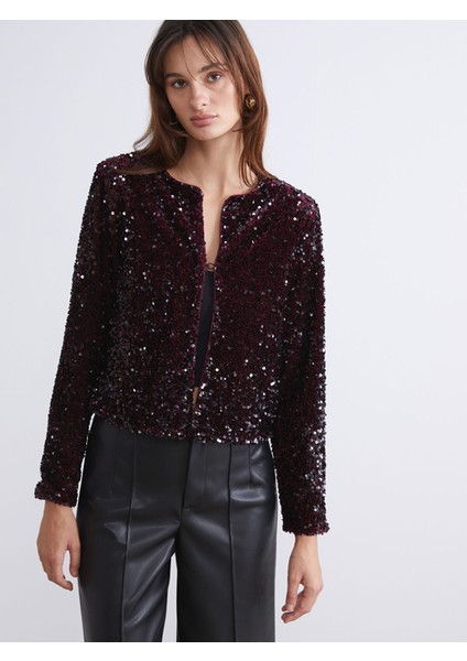 Yeni Sezon Bisiklet Yaka Pul Payetli Kadın Ceket