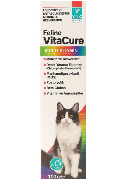 Feline Vitacure Kedi Multi Vitamin Pasta 100G