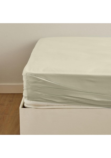 Fitted Tek Kişilik Çarşaf Adaçayı 100X200+30 cm