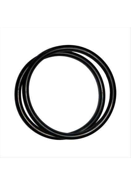 R172009 Pentair Için O-Ring Model 300/320 Havuz ve Spa Klorator Kapağı (6 Paket) (Yurt Dışından) indirimleri