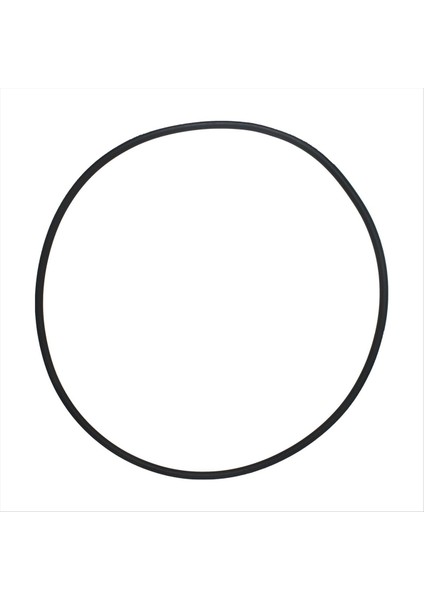 Pentair Için Kelepçe O-Ring 39010200 Ccp Için 520/420/320 Havuz ve Spa Filtre Tankları (Yurt Dışından) fiyatları