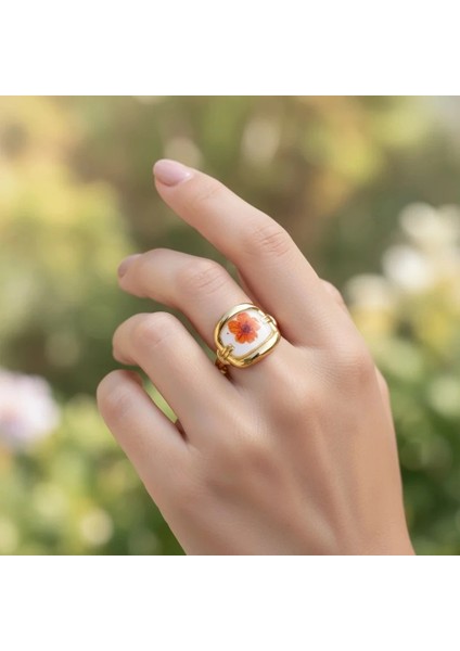 Beragu Ring | Çelik Yüzük fiyatları