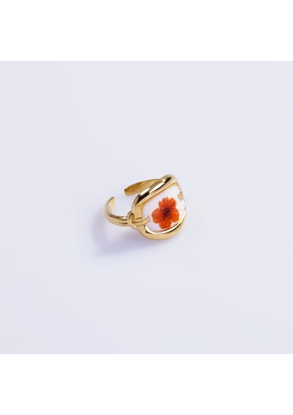 Beragu Ring | Çelik Yüzük fırsatları