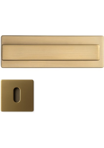 Norma Rozetli Kapı Kolu Altın Saten Renk Oda Rozetli