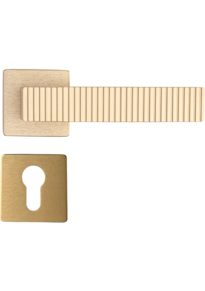 Tuna Rozetli Kapı Kolu Pirinç Saten Renk Yale ( Dış Kapı Rozetli)