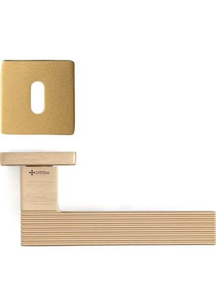 Step Rozetli Kapı Kolu Pirinç Saten Renk Oda Rozetli