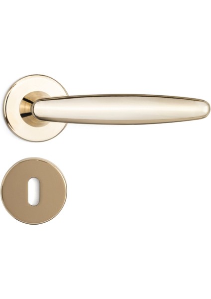 Polna Rozetli Kapı Kolu Gold Renk Oda Rozetli