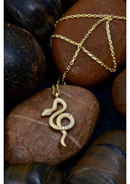 Altın Kaplama Yılan Figürlü 925 Ayar Gümüş Kolye fiyatları