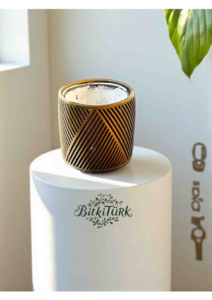 Desenli Beton Saksı_ Bitkitürk El Tasarımı