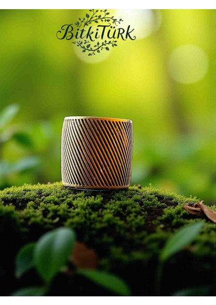 Desenli Beton Saksı_ Bitkitürk El Tasarımı modelleri