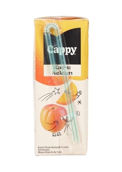 Cappy Kayısı Nektarı Karton Kutu 27X200 ml fiyatları
