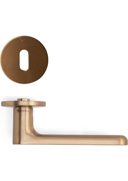 Solo-T Rozetli Kapı Kolu Şampanya Saten Renk Oda Rozetli