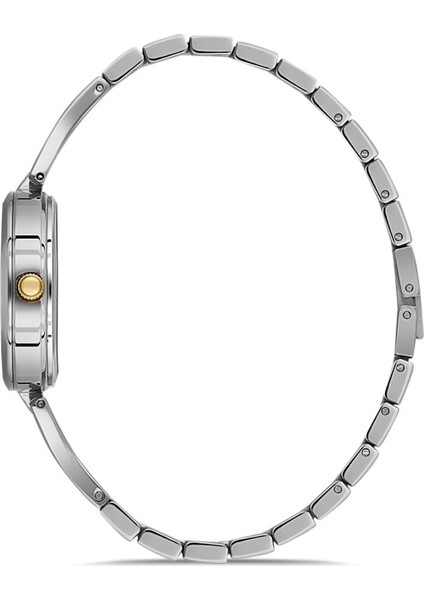 DK.1.AG1414.03 Minimal Tasarım 5 Atm Suya Dayanıklı Metalik Renk Kadın Kol Saati fiyatları