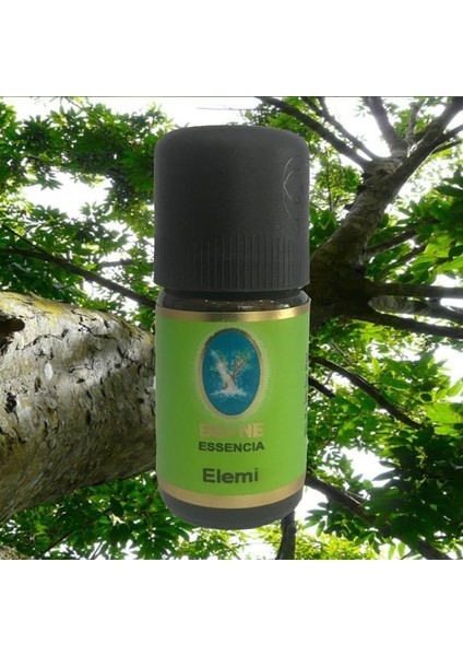 Elemi Yağı 5 Ml.