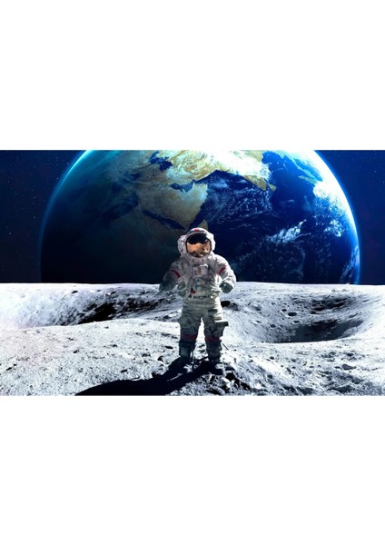 Lisanslı Nasa Space Paninipedia Sticker Album+10 Paket (50 Çıkartma) Uzayı Keşfedin fiyatları