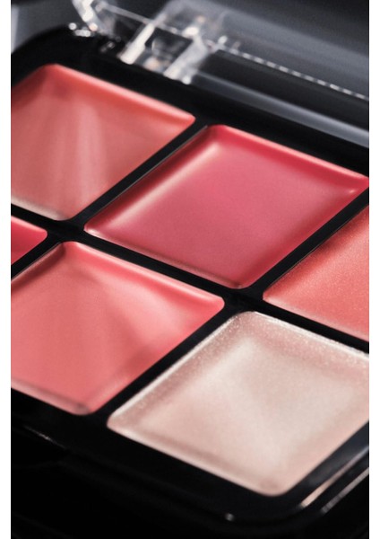 Blur Balm Blush Paleti 010 Blush Blindness 6 Renk, Yüksek Pigmentli, Vegan, 6 G modelleri