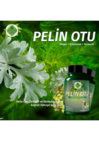 Pelin Otu Kapsül