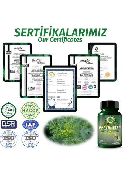 Pelin Otu Kapsül