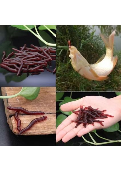 150 Adet Plastik Kokusuz Premium Gerçekçi Kırmızı Toprak Solucanı Balıkçılık Yemi fırsatları