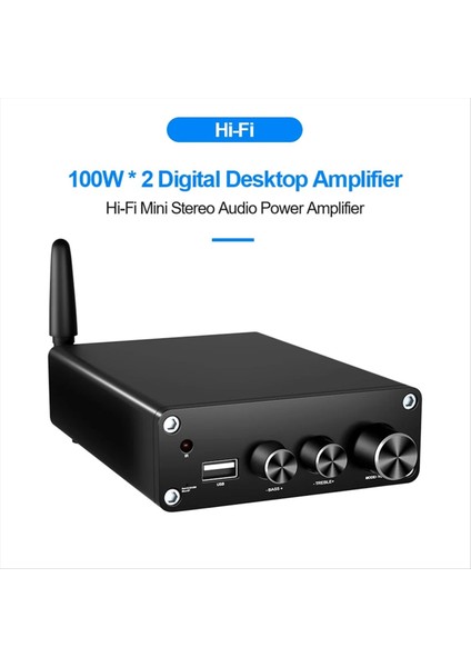 Hıfı Stereo Ses Güç Amplifikatörü 2X100W Çift Kanallı TPA3116 Bluetooth Masaüstü Ev Dijital Tiyatro Amplifikatörleri Alıcı (Yurt Dışından) fiyatları