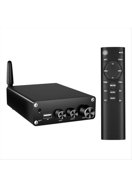 Hıfı Stereo Ses Güç Amplifikatörü 2X100W Çift Kanallı TPA3116 Bluetooth Masaüstü Ev Dijital Tiyatro Amplifikatörleri Alıcı (Yurt Dışından) fırsatları