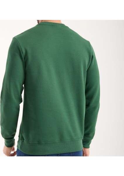 Basıc Nefti Regular Fit Bisiklet Yaka Paris Arma modelleri