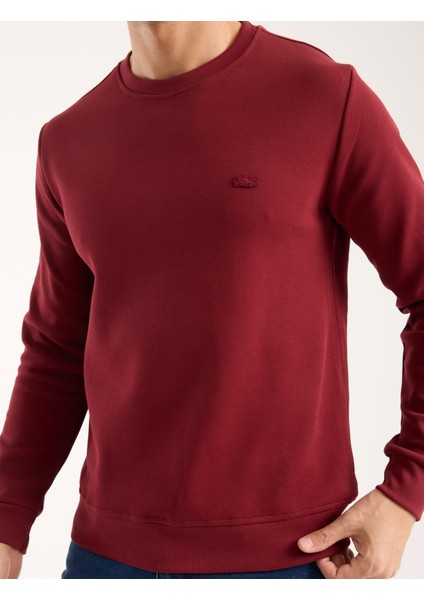 Bisiklet Yaka Bordo Regular Fit Paris Arma Uzun Kol fiyatları