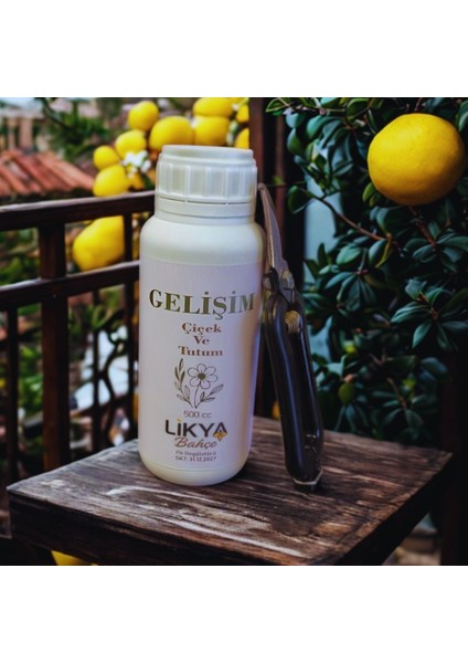 Gelişim Bitki Besini ve Bağ Makası Set