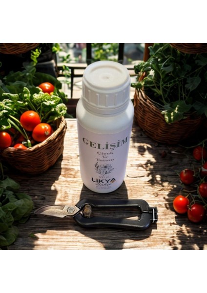 Gelişim Bitki Besini ve Bağ Makası Set fiyatları