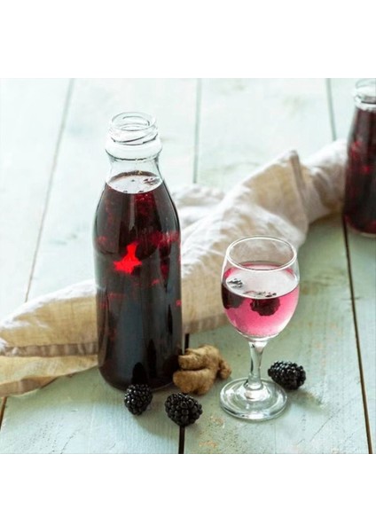 Distiller Filtre Thermomix Tm6 Tm5 Yeniden Kullanılabilir Damıtılmış Şarap Filtre Aksesuarları (Yurt Dışından) fiyatları