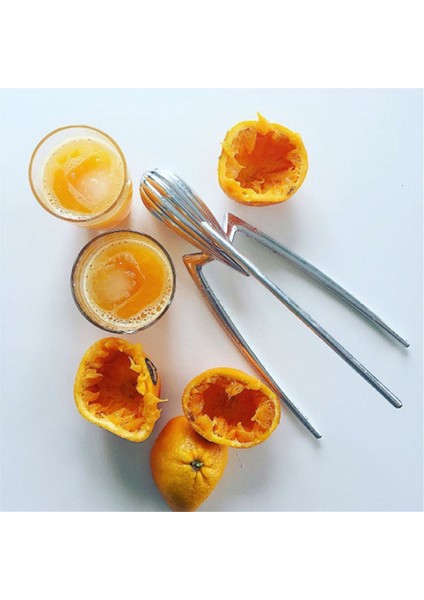 Modern Ahtapot Meyve Suyu Dekoratif Süsler Sehpa Restoran Mutfak Oturma Odası Yumuşak Dekorasyon (Yurt Dışından) fırsatları