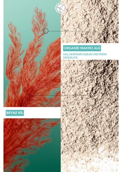 Arındırıcı 2si1 Arada Peeling ve Maske - Yağlı Saçlar / Purete - VEGAN-93093 modelleri