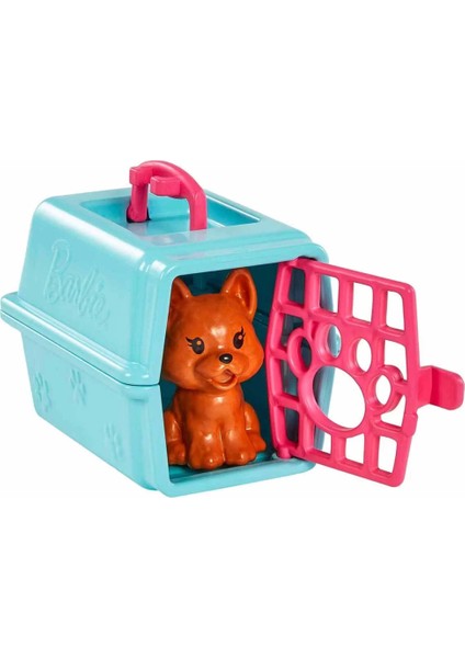 Barbie Chelsea Meslekleri Öğreniyor Veteriner Oyun Seti HGT12 modelleri