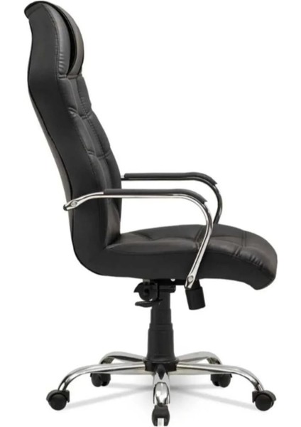 Spor Ofis Yönetici Makam Koltuğu Dikişli fiyatları