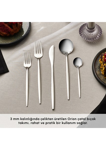 Orion Platin 6 Kişilik 30 Parça Çatal Kaşık Bıçak Takımı indirimleri