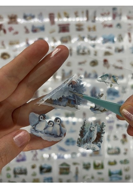 Mevsimler Serisi Kış Masalı Temalı 4 Bölüm 100 Yaprak 484 Adet Kutu Şeffaf Sticker Seti/etiket/çıkartma modelleri