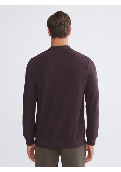 Yeni Sezon Polo Yaka Erkek Sweatshirt fırsatları