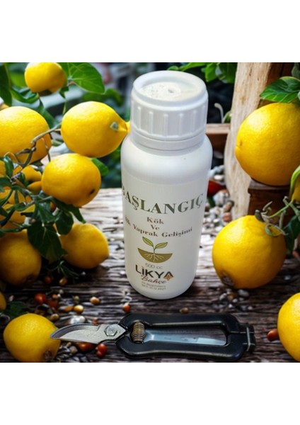 Başlangıç Bitki Besini ve Bağ Makası Set