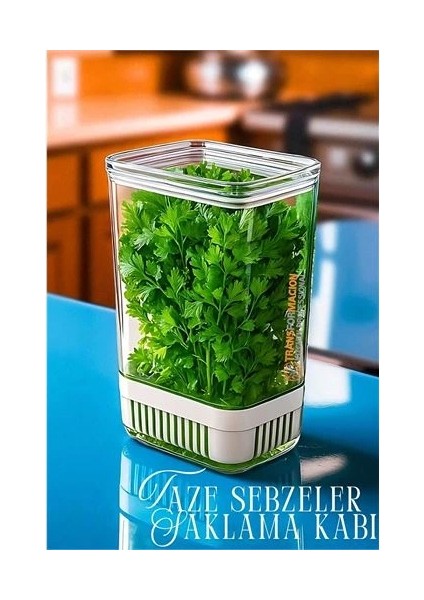 Yeşillik Saklama Kabı - Taze Yeşillik Için - Soğan Maydanoz Vb Yeşillik Saklama