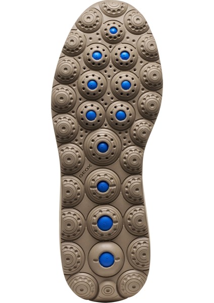 Kadın Vizon D Spherıca EC13 A - Nappa+Sued Bağcıklı Dolgu Topuklu Deri Spor Sneaker D45WAA08522C6029