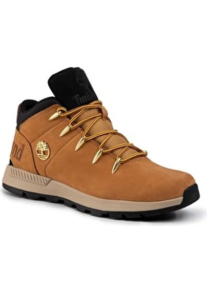 Erkek Sneaker Düz Tabanlı Konforlu Ayakkabı Günlük Kullanım İçin modelleri