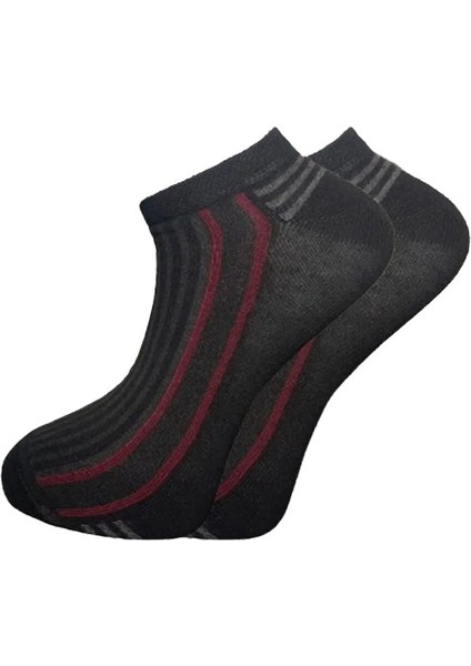 Erkek Pamuklu Patik 4'lü Paket modelleri