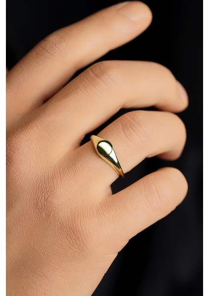 14 Ayar Altın Yuvarlak Plaka Şövalye Erkek Yüzük fiyatları