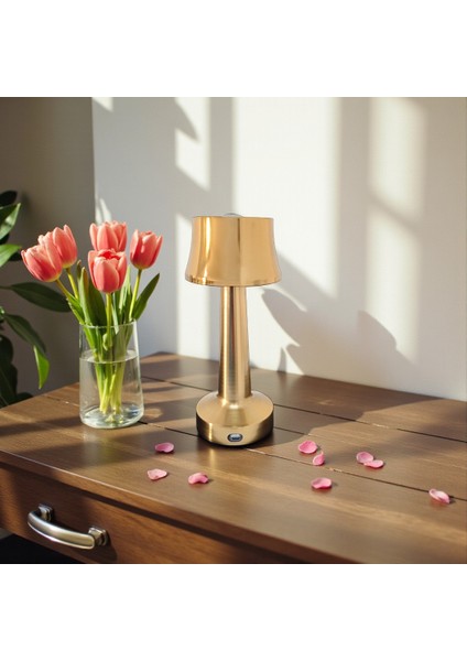 Dokunmatik Metal Masa Lambası modelleri