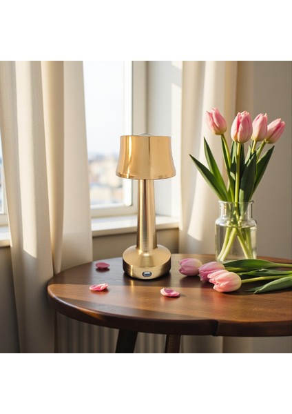 Dokunmatik Metal Masa Lambası fırsatları