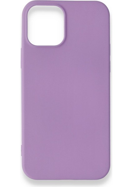 iPhone 12 Pro Max Kılıf Esnek Yapılı Ince Standart Ruber Kapak Ryc/first